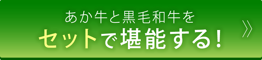 あか牛と黒毛和牛をセットで堪能する！