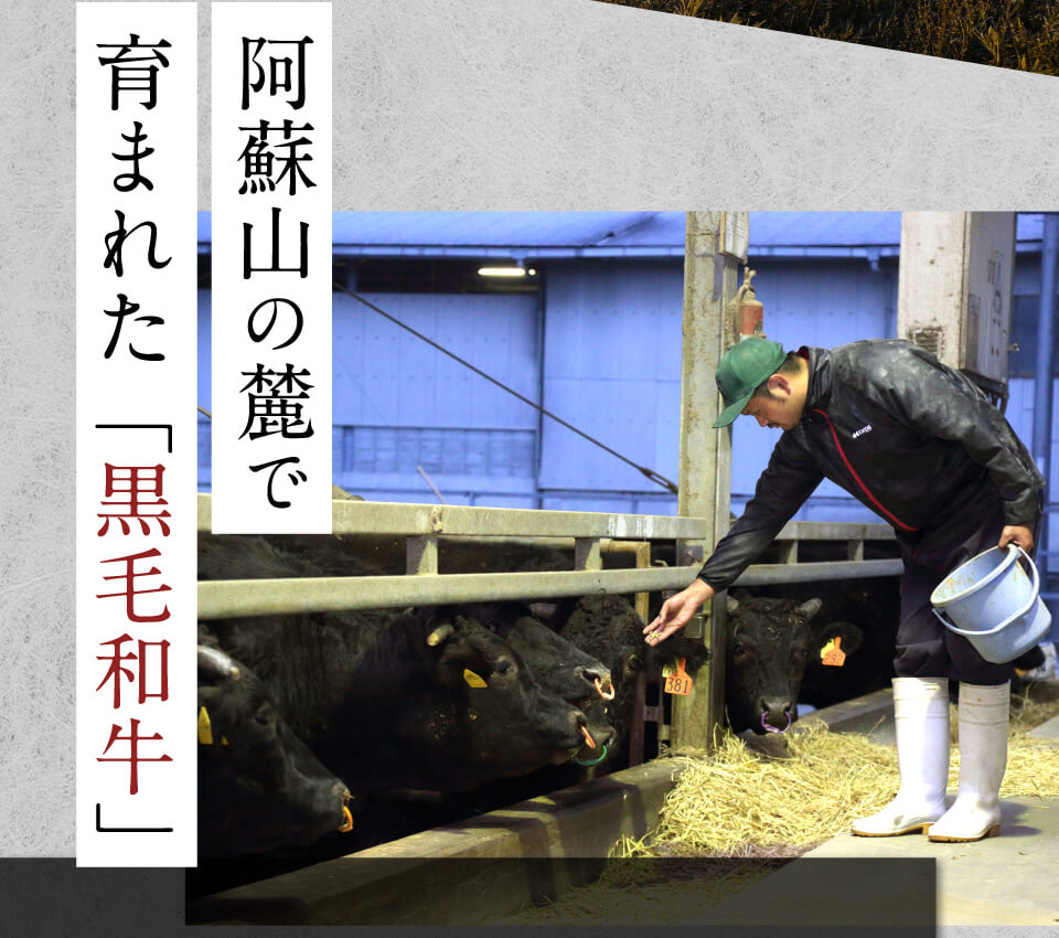 阿蘇の雄大な自然に育まれた「あか牛」